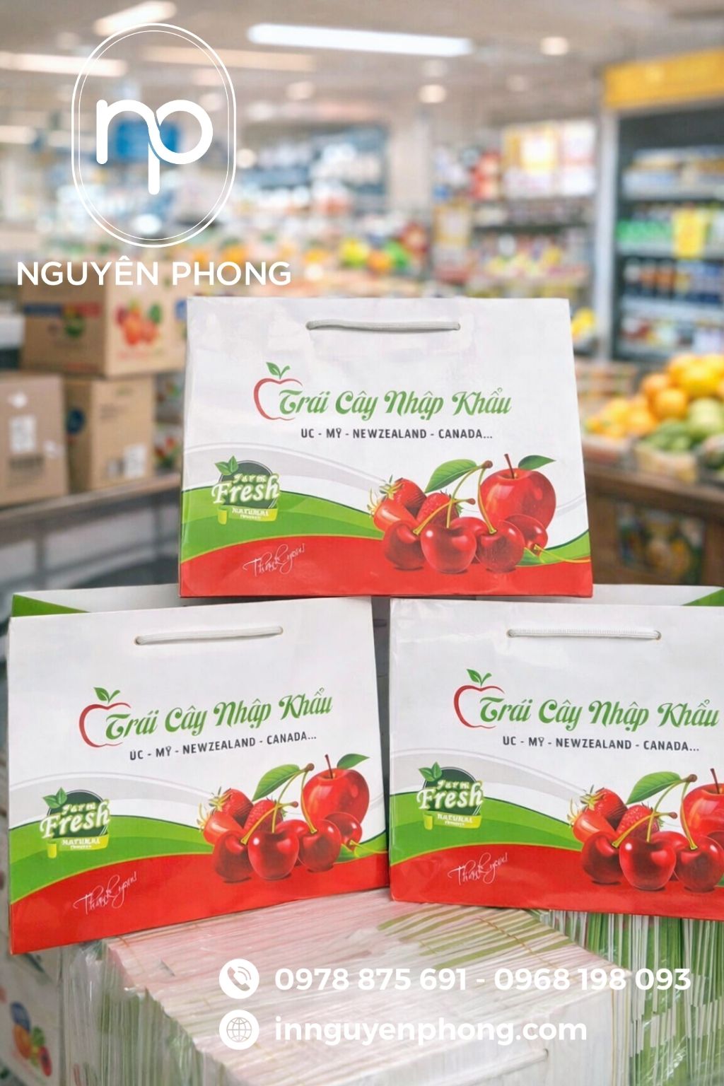 Mẫu túi giấy đựng hoa quả xuất khẩu cao cấp 